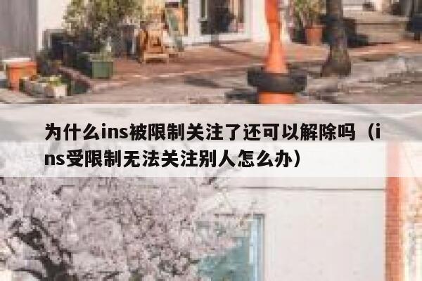 为什么ins被限制关注了还可以解除吗（ins受限制无法关注别人怎么办） 第1张