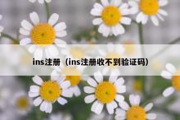 ins注册（ins注册收不到验证码） 第1张