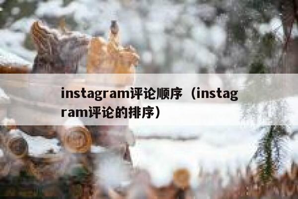 instagram评论顺序（instagram评论的排序） 第1张