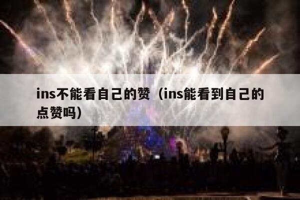 ins不能看自己的赞（ins能看到自己的点赞吗） 第1张