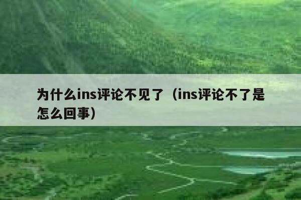 为什么ins评论不见了（ins评论不了是怎么回事） 第1张