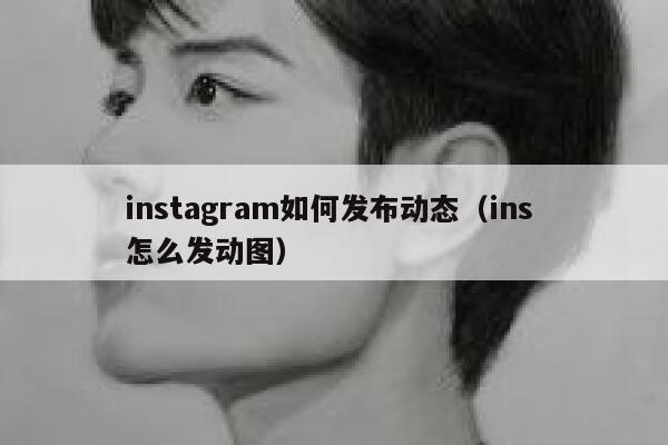 instagram如何发布动态（ins 怎么发动图） 第1张