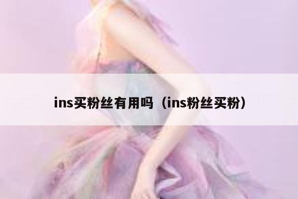 ins买粉丝有用吗（ins粉丝买粉） 第1张