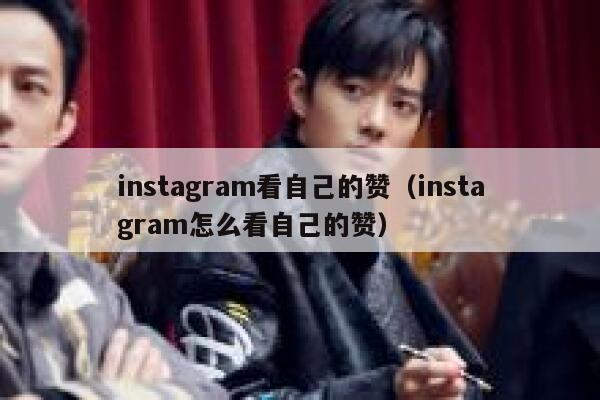 instagram看自己的赞（instagram怎么看自己的赞） 第1张