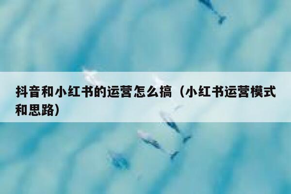 抖音和小红书的运营怎么搞（小红书运营模式和思路） 第1张