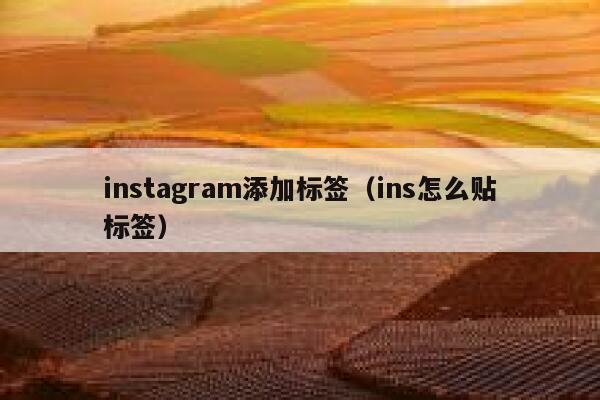 instagram添加标签（ins怎么贴标签） 第1张