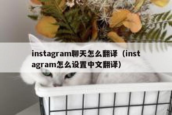 instagram聊天怎么翻译（instagram怎么设置中文翻译） 第1张