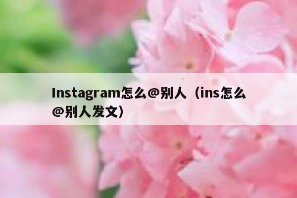 Instagram怎么@别人（ins怎么@别人发文） 第1张