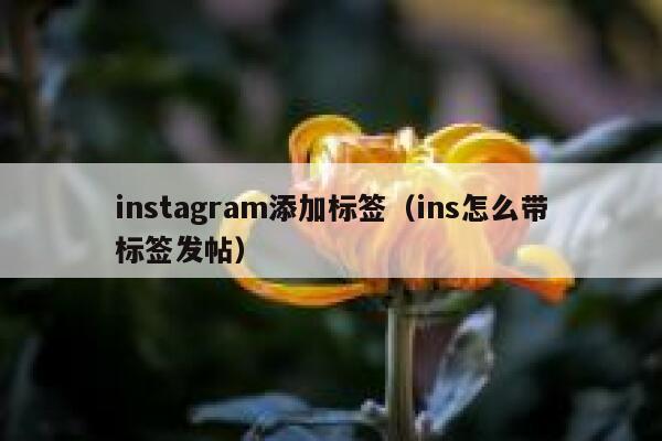 instagram添加标签（ins怎么带标签发帖） 第1张