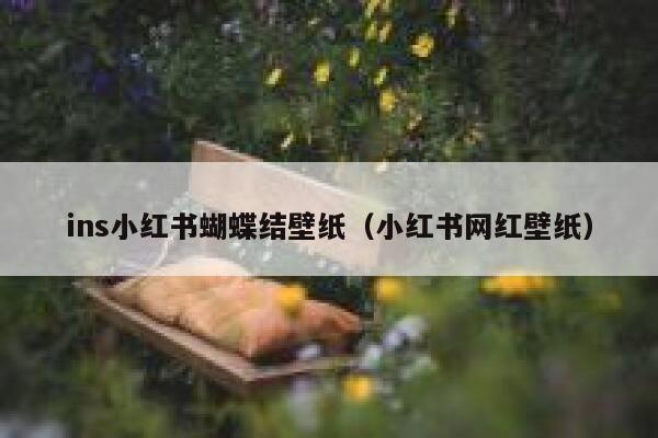 ins小红书蝴蝶结壁纸（小红书网红壁纸） 第1张