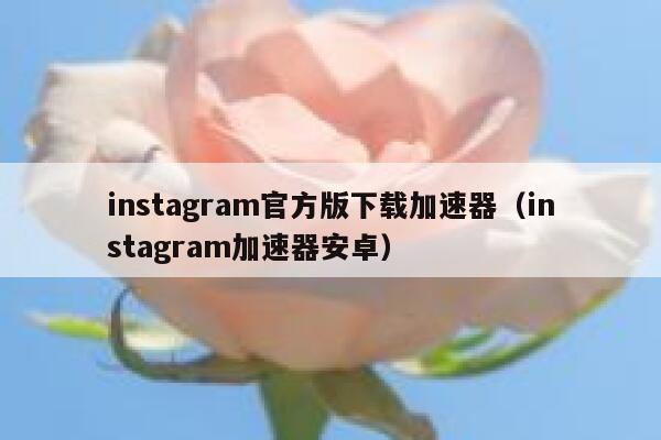 instagram官方版下载加速器（instagram加速器安卓） 第1张