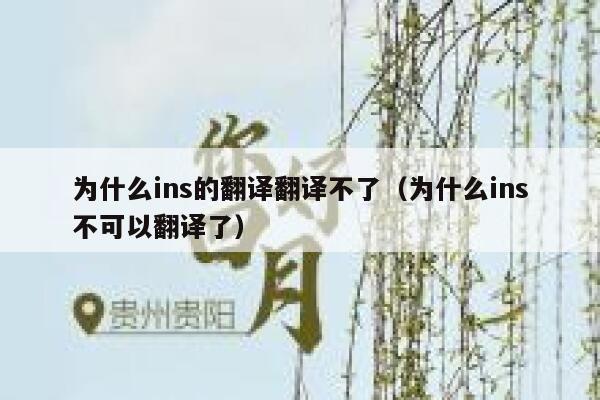 为什么ins的翻译翻译不了（为什么ins不可以翻译了） 第1张