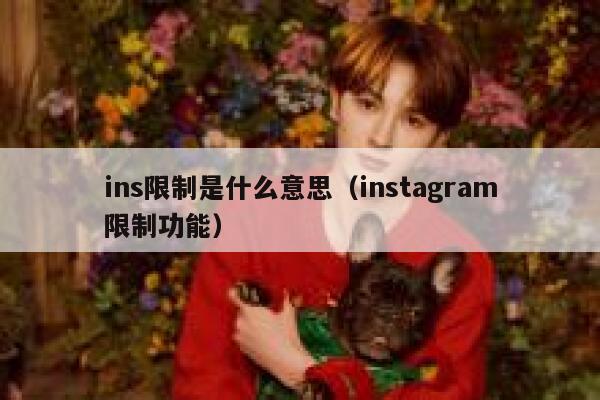 ins限制是什么意思（instagram限制功能） 第1张