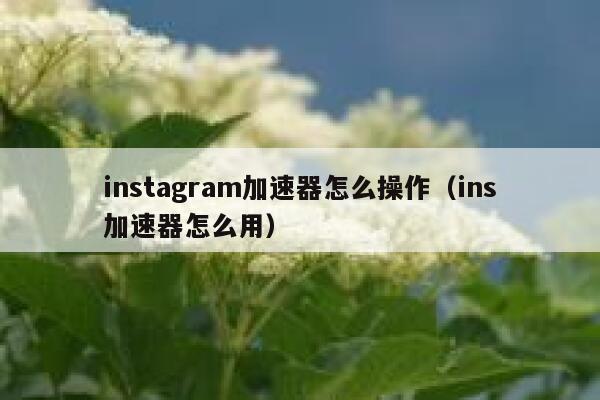 instagram加速器怎么操作（ins加速器怎么用） 第1张