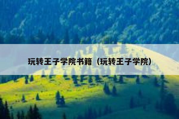 玩转王子学院书籍（玩转王子学院） 第1张