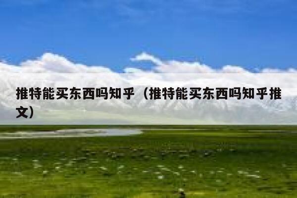 推特能买东西吗知乎（推特能买东西吗知乎推文） 第1张