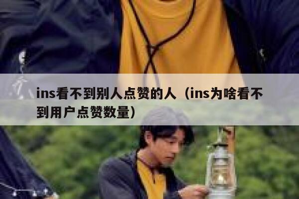 ins看不到别人点赞的人（ins为啥看不到用户点赞数量） 第1张