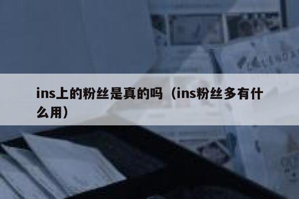 ins上的粉丝是真的吗（ins粉丝多有什么用） 第1张