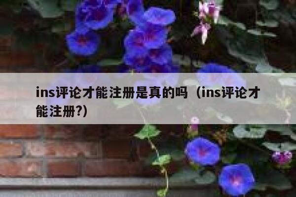ins评论才能注册是真的吗（ins评论才能注册?） 第1张