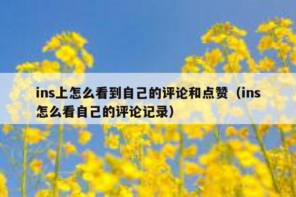 ins上怎么看到自己的评论和点赞（ins怎么看自己的评论记录） 第1张