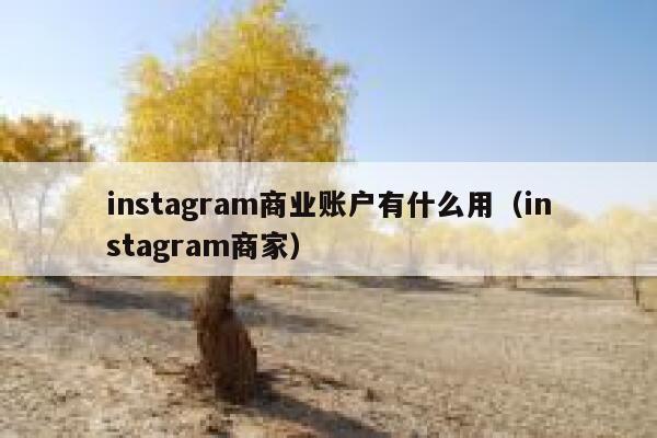 instagram商业账户有什么用（instagram商家） 第1张
