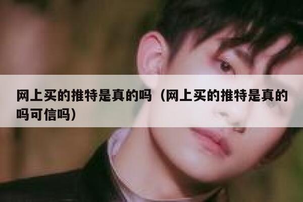 网上买的推特是真的吗（网上买的推特是真的吗可信吗） 第1张