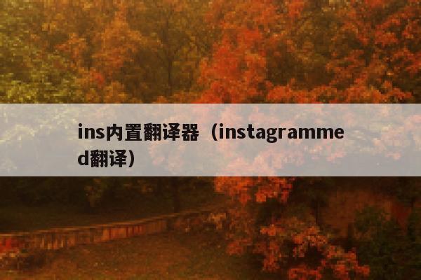 ins内置翻译器（instagrammed翻译） 第1张