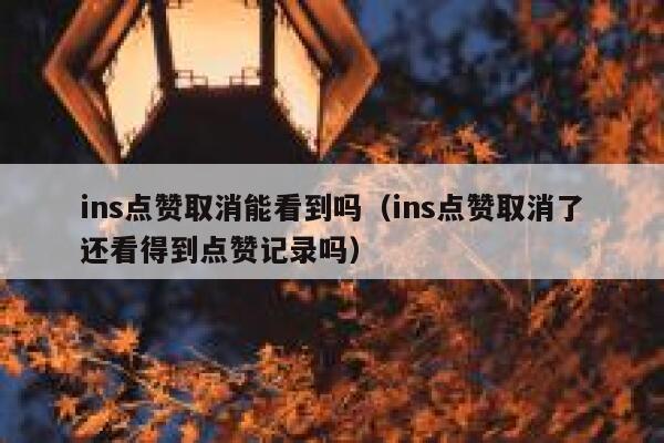 ins点赞取消能看到吗（ins点赞取消了还看得到点赞记录吗） 第1张