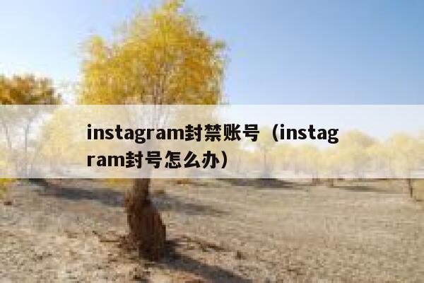 instagram封禁账号（instagram封号怎么办） 第1张