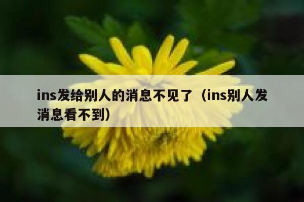 ins发给别人的消息不见了（ins别人发消息看不到） 第1张