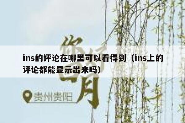 ins的评论在哪里可以看得到（ins上的评论都能显示出来吗） 第1张