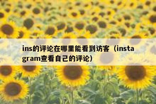 ins的评论在哪里能看到访客（instagram查看自己的评论） 第1张
