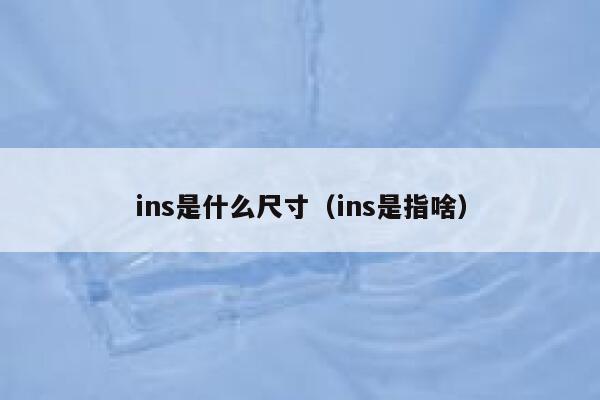 ins是什么尺寸（ins是指啥） 第1张