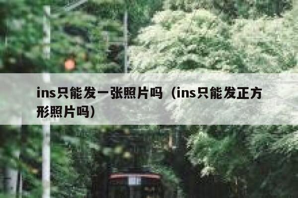 ins只能发一张照片吗（ins只能发正方形照片吗） 第1张