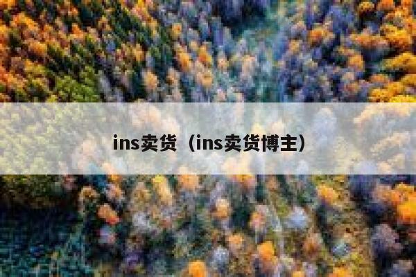 ins卖货（ins卖货博主） 第1张