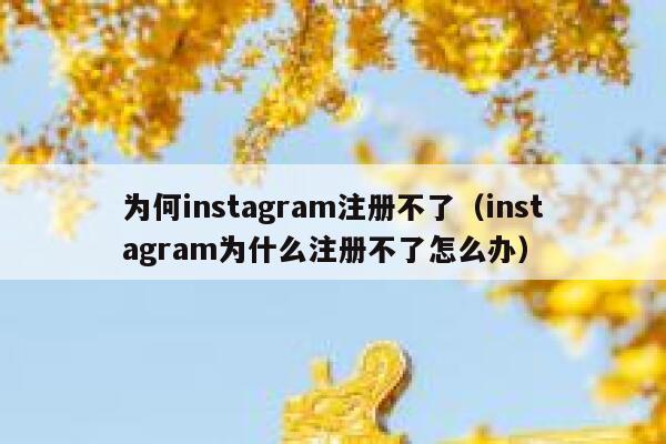 为何instagram注册不了（instagram为什么注册不了怎么办） 第1张
