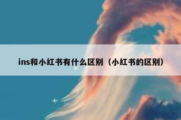 ins和小红书有什么区别（小红书的区别） 第1张