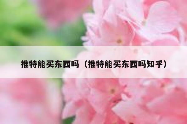 推特能买东西吗（推特能买东西吗知乎） 第1张