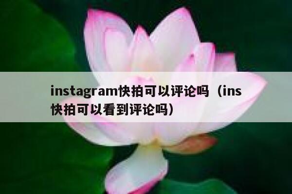 instagram快拍可以评论吗（ins快拍可以看到评论吗） 第1张