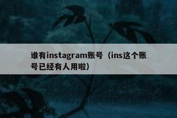 谁有instagram账号（ins这个账号已经有人用啦） 第1张