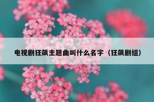 电视剧狂飙主题曲叫什么名字（狂飙剧组） 第1张