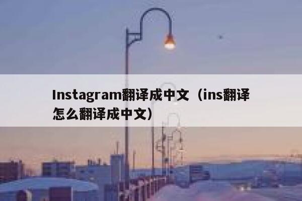 Instagram翻译成中文（ins翻译怎么翻译成中文） 第1张