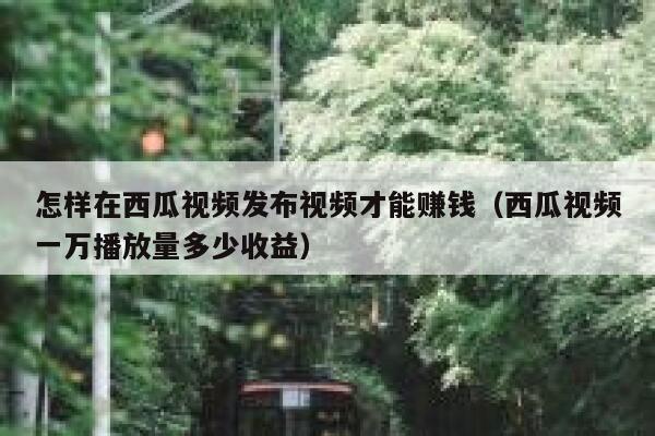 怎样在西瓜视频发布视频才能赚钱（西瓜视频一万播放量多少收益） 第1张
