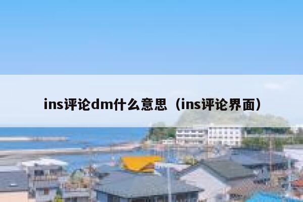 ins评论dm什么意思（ins评论界面） 第1张