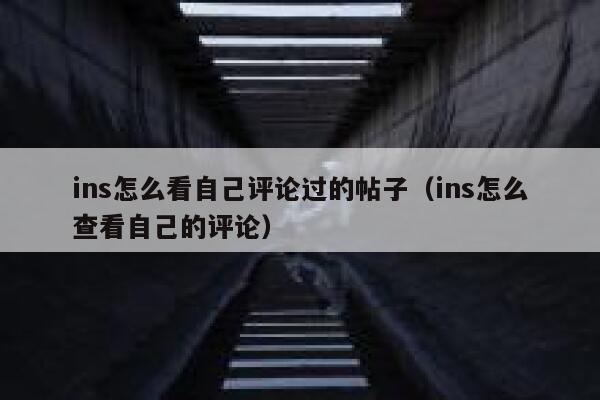 ins怎么看自己评论过的帖子（ins怎么查看自己的评论） 第1张