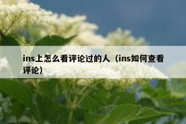 ins上怎么看评论过的人（ins如何查看评论） 第1张