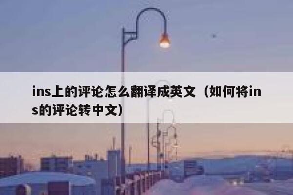 ins上的评论怎么翻译成英文（如何将ins的评论转中文） 第1张