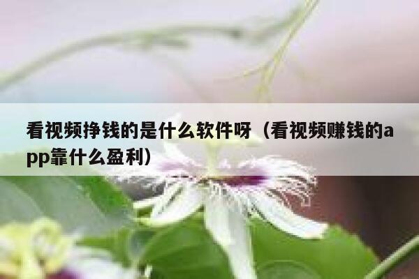 看视频挣钱的是什么软件呀（看视频赚钱的app靠什么盈利） 第1张