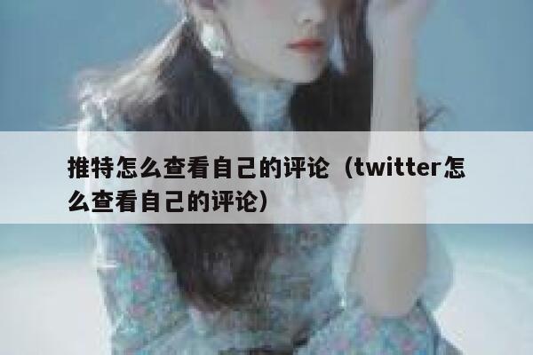 推特怎么查看自己的评论（twitter怎么查看自己的评论） 第1张