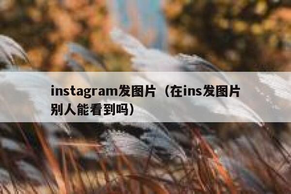 instagram发图片（在ins发图片别人能看到吗） 第1张